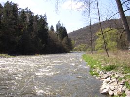 Sázava 1-Žampach 21.4.04 (3).jpg